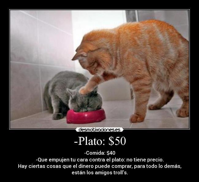 -Plato: $50 -