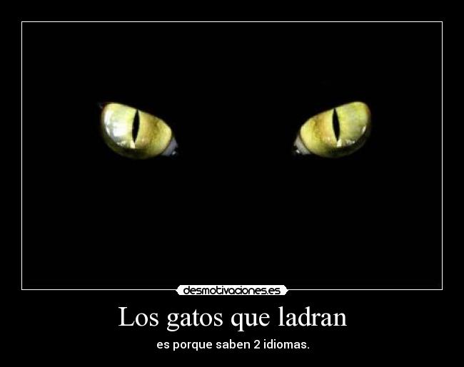 Los gatos que ladran - es porque saben 2 idiomas.