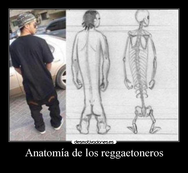 carteles anatomia reggaetoneros desmotivaciones