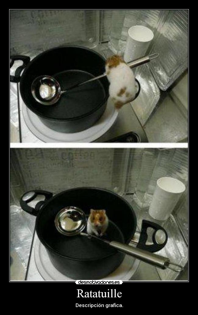 Ratatuille - Descripción grafica.