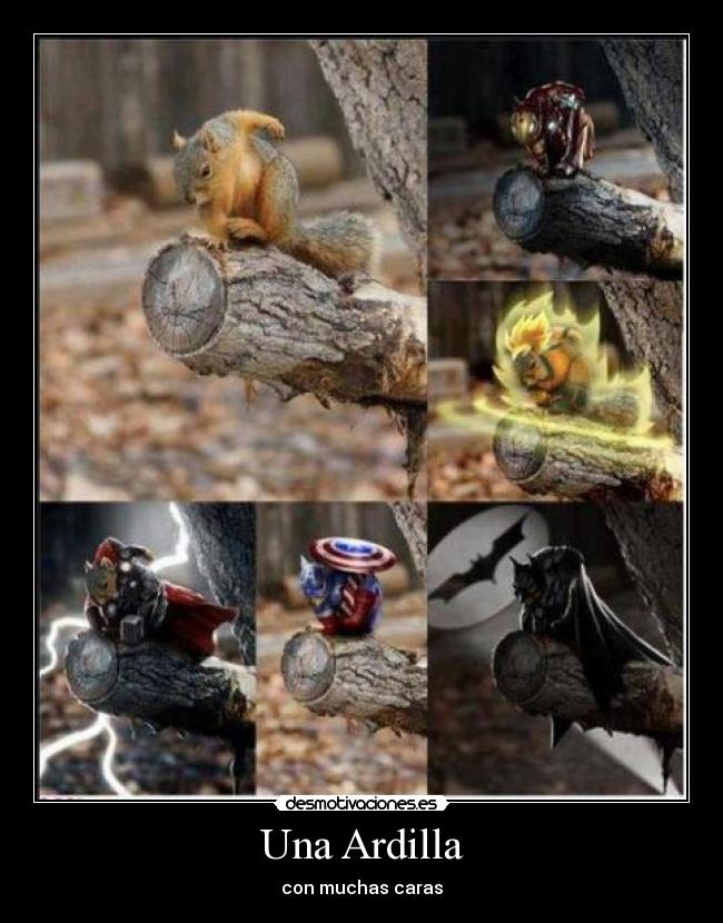 Una Ardilla - 