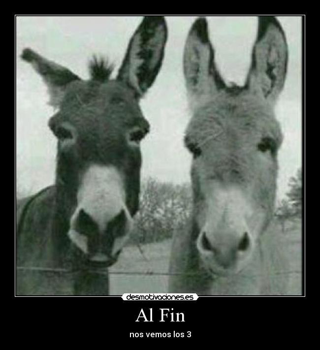 Al Fin - nos vemos los 3