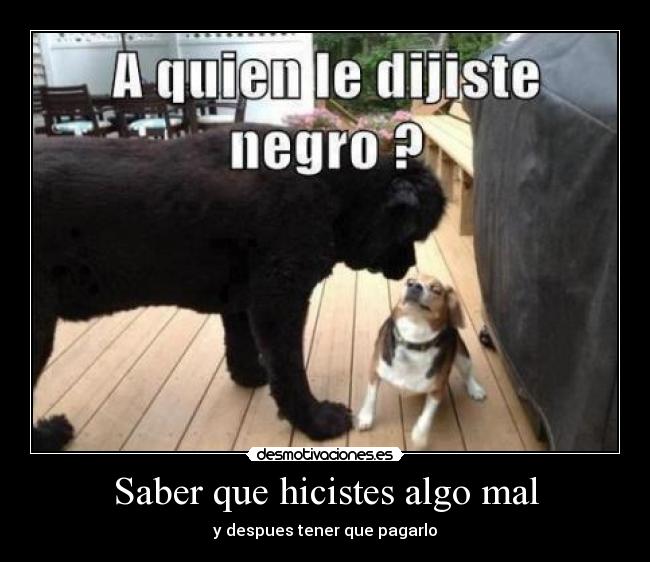 carteles jhajiis cuyato beltran desmotivaciones