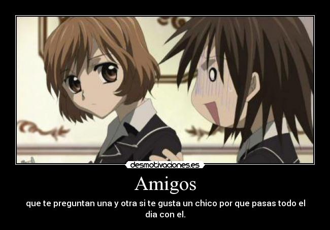 Amigos -