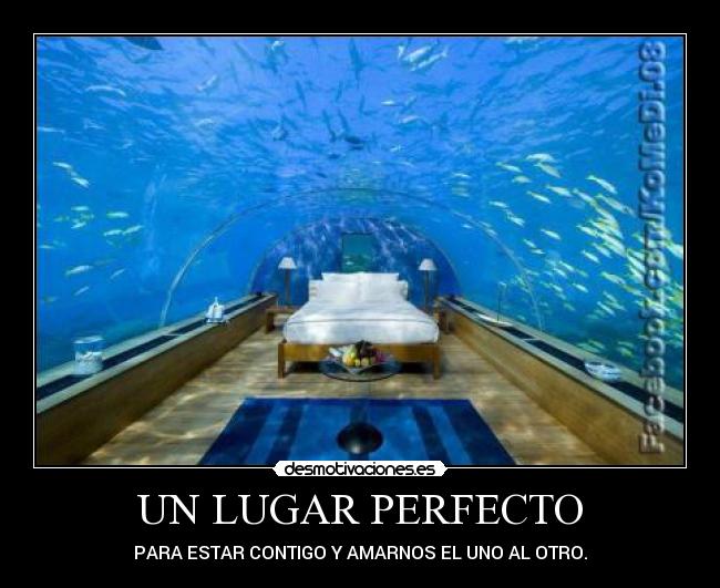 UN LUGAR PERFECTO - PARA ESTAR CONTIGO Y AMARNOS EL UNO AL OTRO.