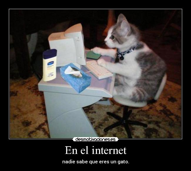En el internet -