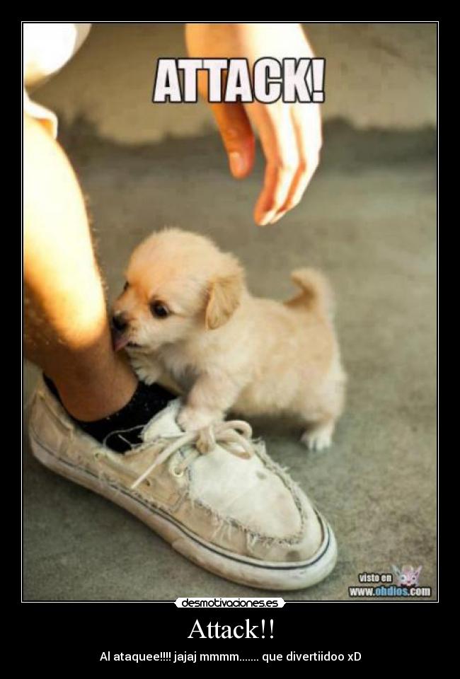 Attack!! - Al ataquee!!!! jajaj mmmm....... que divertiidoo xD