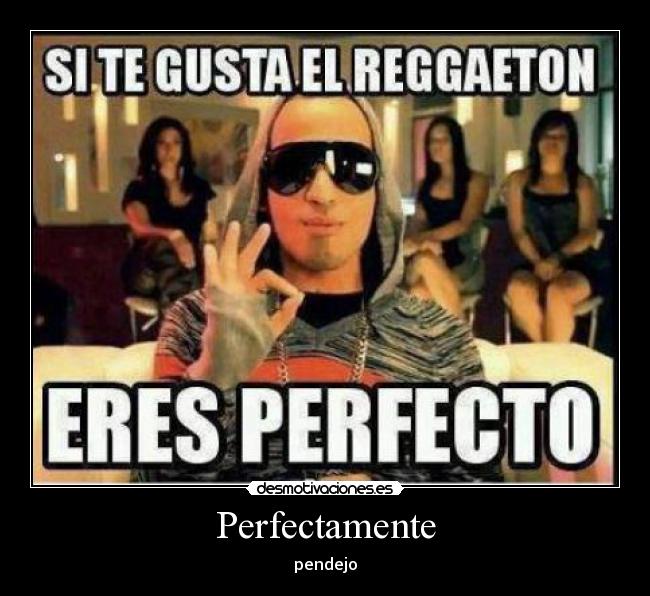 Perfectamente - pendejo