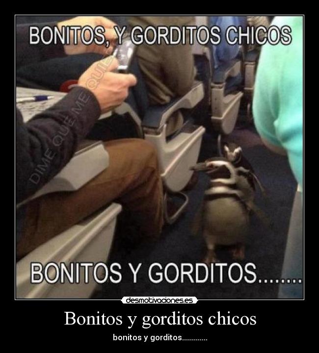 Bonitos y gorditos chicos -