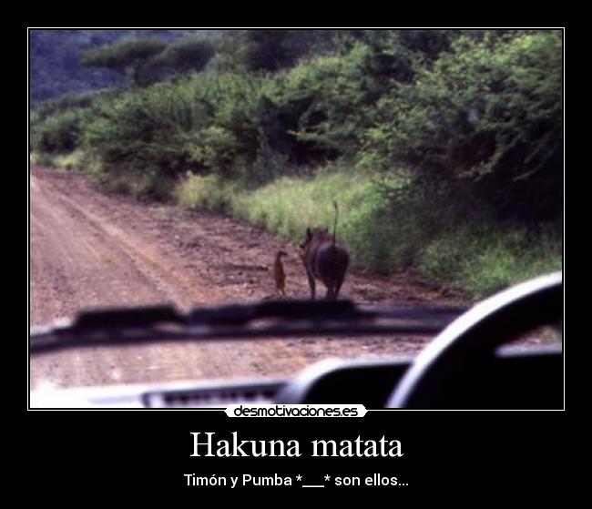 Hakuna matata - 