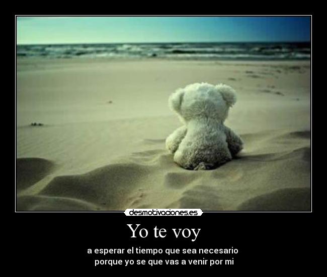 Yo te voy -