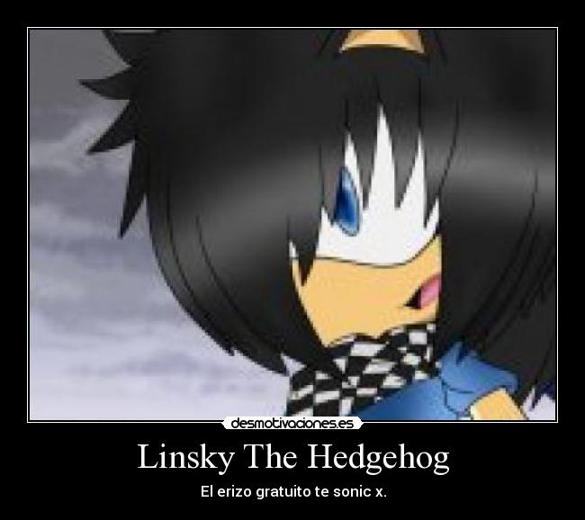 carteles shidorixz desmotivaciones