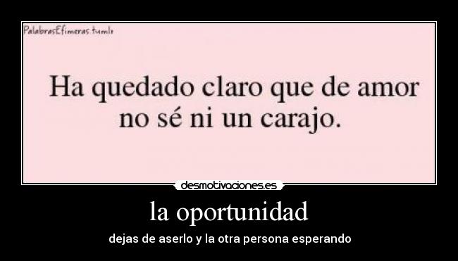 carteles veroniik arango toro desmotivaciones