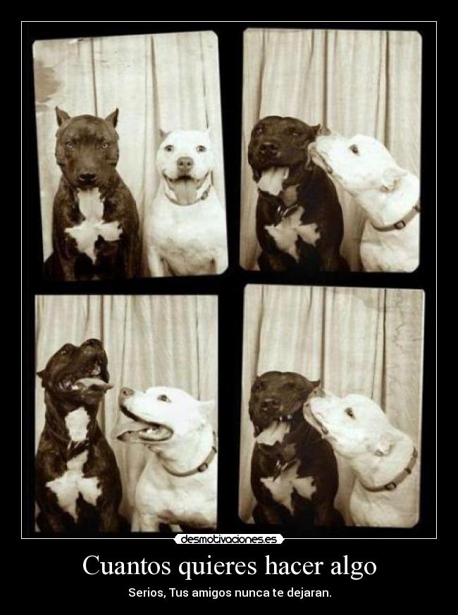 Cuantos quieres hacer algo - Serios, Tus amigos nunca te dejaran.