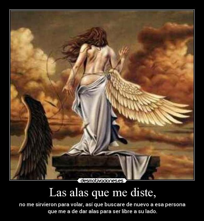 carteles para anita desmotivaciones