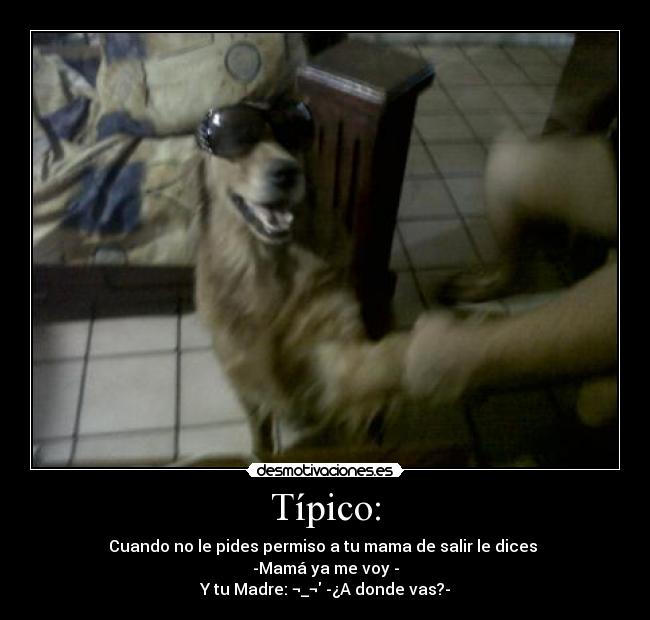 Típico: - Cuando no le pides permiso a tu mama de salir le dices 
-Mamá ya me voy -
Y tu Madre: ¬_¬ -¿A donde vas?-