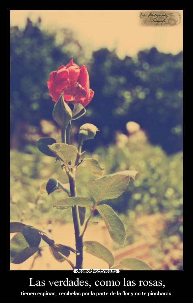 Las verdades, como las rosas, -
