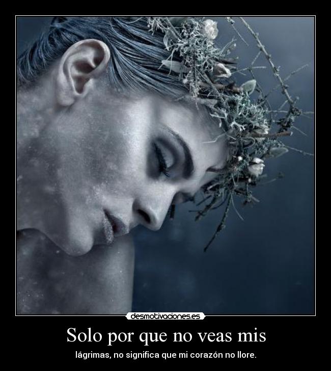 Solo por que no veas mis -