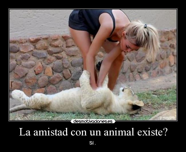 La amistad con un animal existe? -