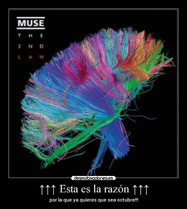 ↑↑↑ Esta es la razón ↑↑↑ - por la que ya quieres que sea octubre!!!