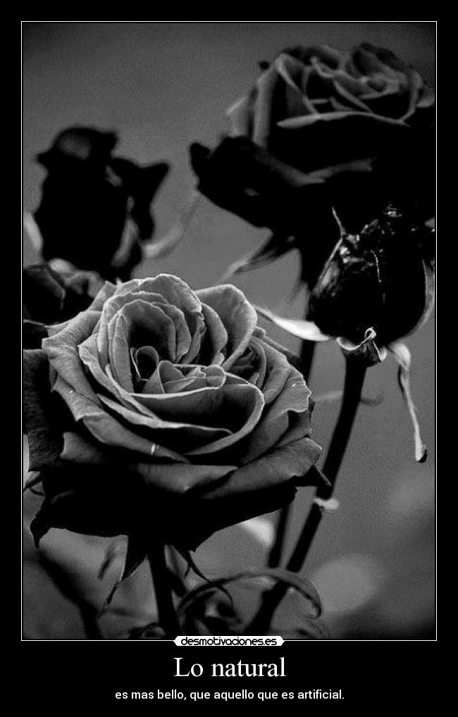 Lo natural - es mas bello, que aquello que es artificial.