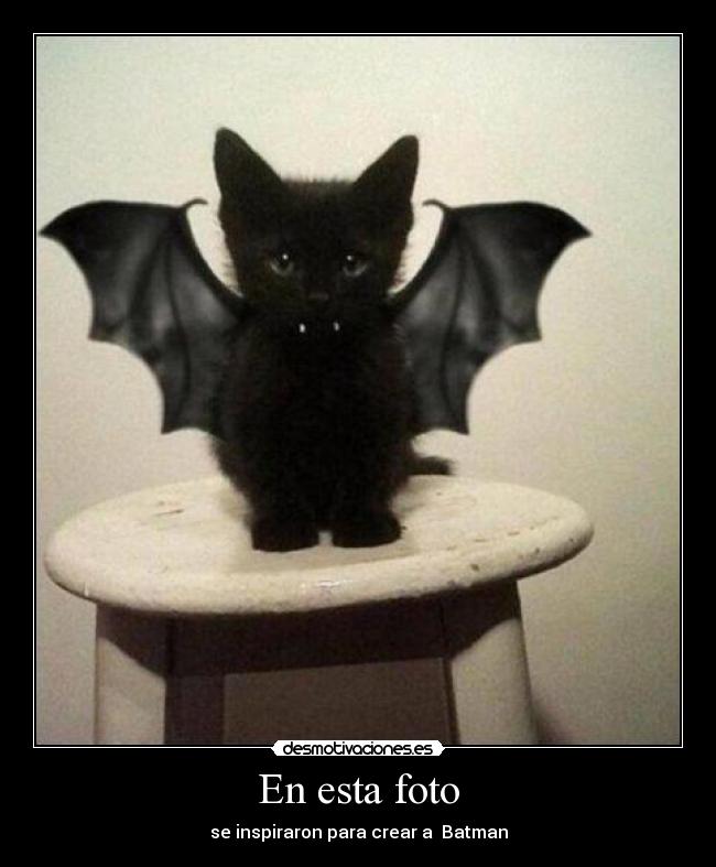 En esta foto - se inspiraron para crear a Batman