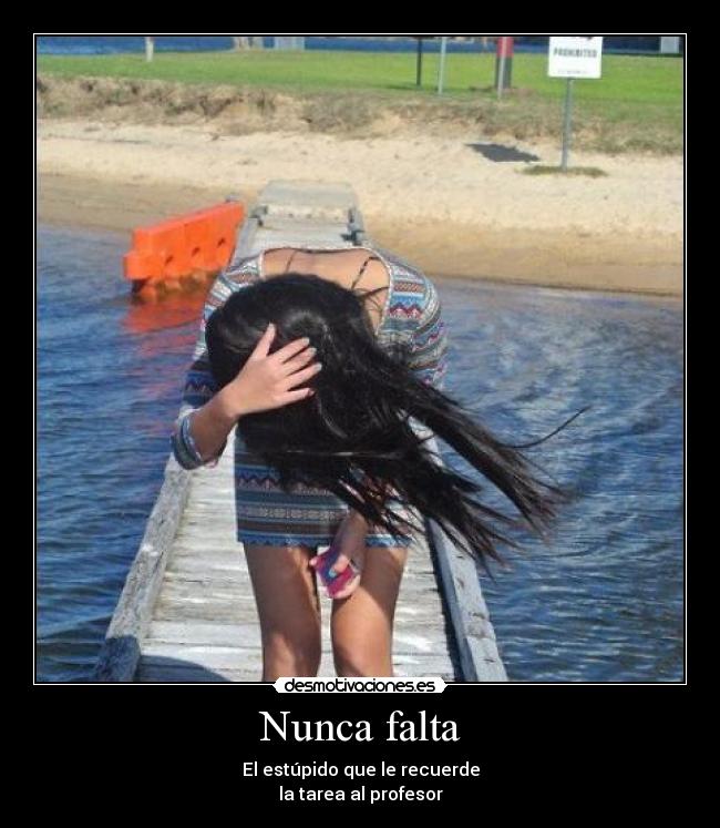 Nunca falta - El estúpido que le recuerde
la tarea al profesor