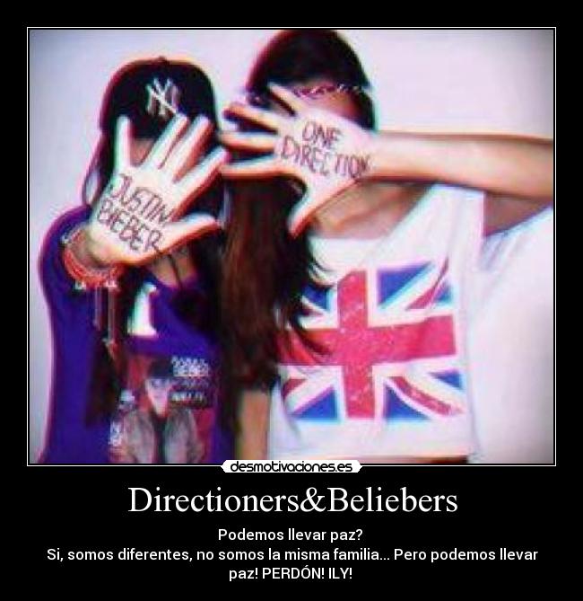 carteles directioners desmotivaciones