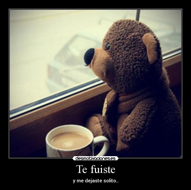 Te fuiste - 