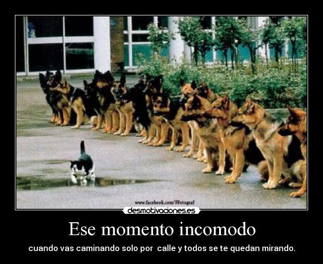 Ese momento incomodo - 