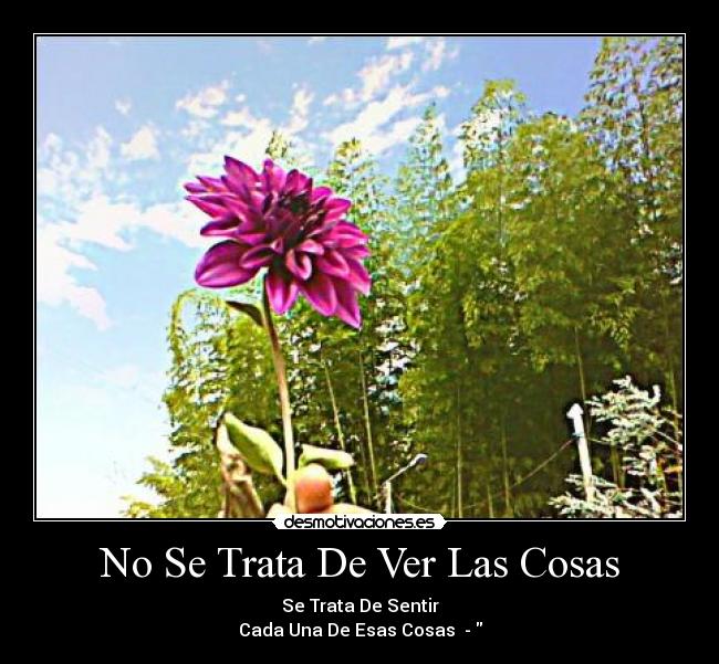 No Se Trata De Ver Las Cosas - Se Trata De Sentir
Cada Una De Esas Cosas ♥-♥
