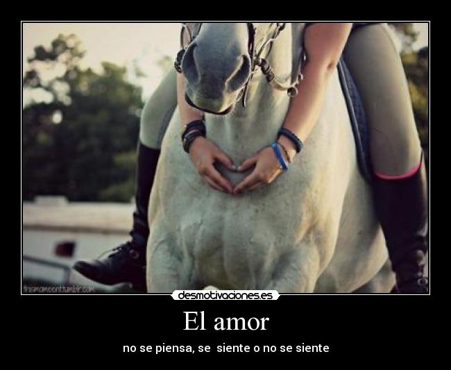 El amor - no se piensa, se  siente o no se siente