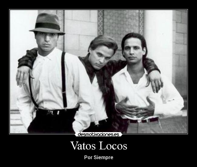 carteles cholos desmotivaciones