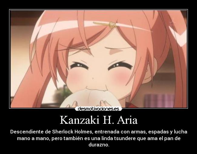 Kanzaki H. Aria - Descendiente de Sherlock Holmes, entrenada con armas, espadas y lucha
mano a mano, pero también es una linda tsundere que ama el pan de
durazno.