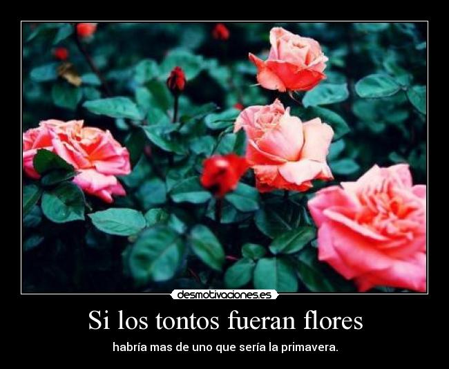 Si los tontos fueran flores - habría mas de uno que sería la primavera.
