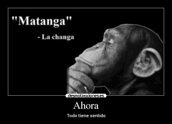 Ahora - Todo tiene sentido