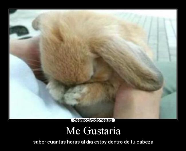 Me Gustaria - 