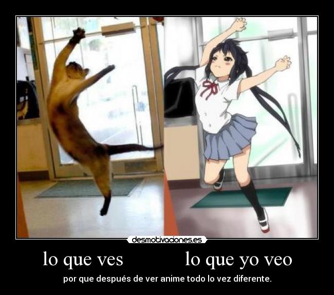 lo que ves            lo que yo veo - por que después de ver anime todo lo vez diferente.