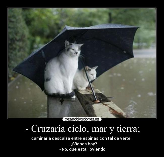 - Cruzaría cielo, mar y tierra; -