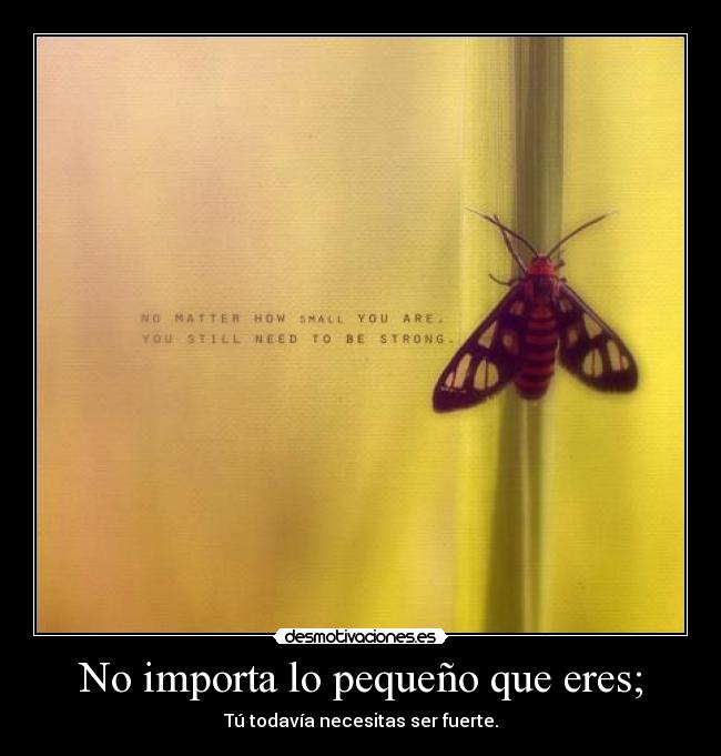 No importa lo pequeño que eres; - Tú todavía necesitas ser fuerte.