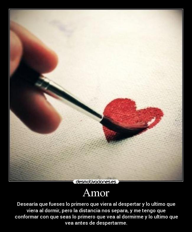 Amor - 