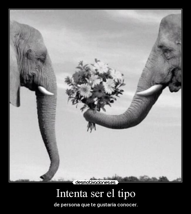 Intenta ser el tipo - 