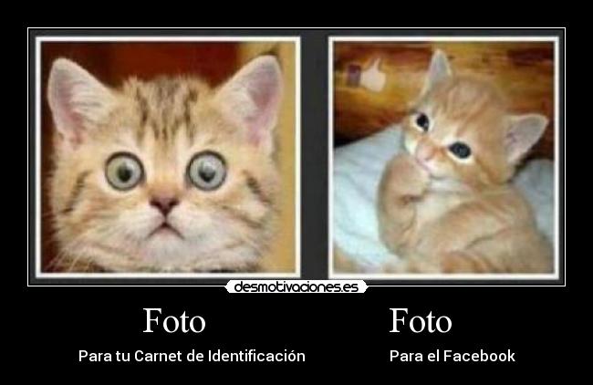 Foto Foto - Para tu Carnet de Identificación Para el Facebook