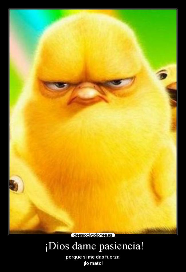 ¡Dios dame pasiencia! -