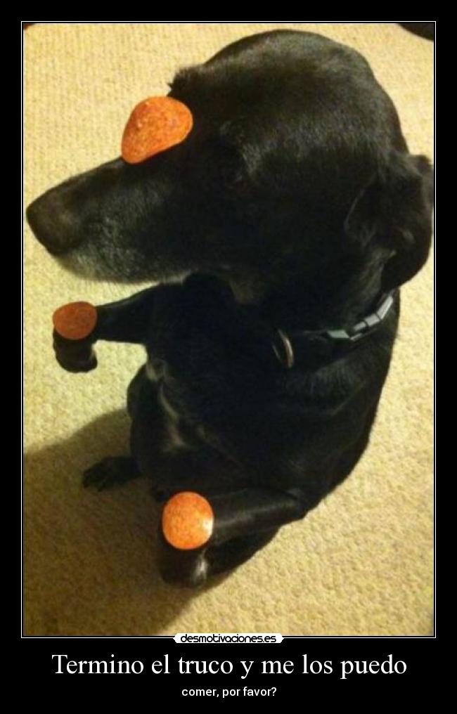 carteles fvfv desmotivaciones