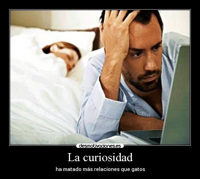 carteles desmotivaciones curisidad gatosgatos relaciones amor panky175 desmotivaciones