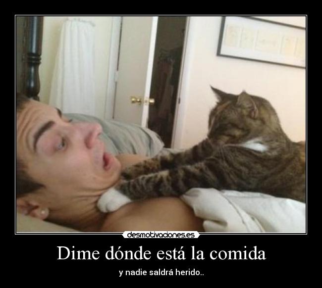 Dime dónde está la comida - y nadie saldrá herido..