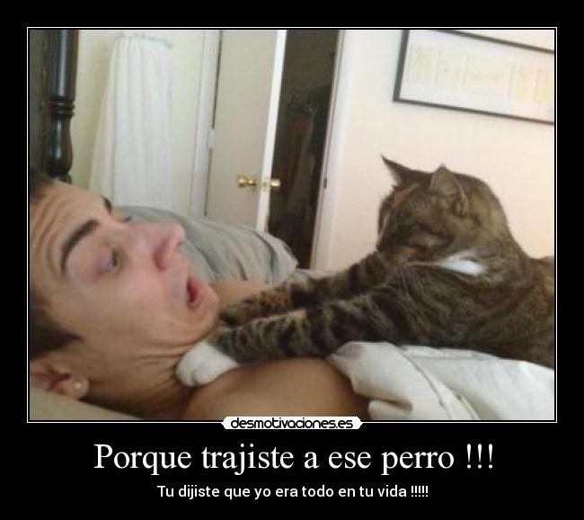 Porque trajiste a ese perro !!! - 
