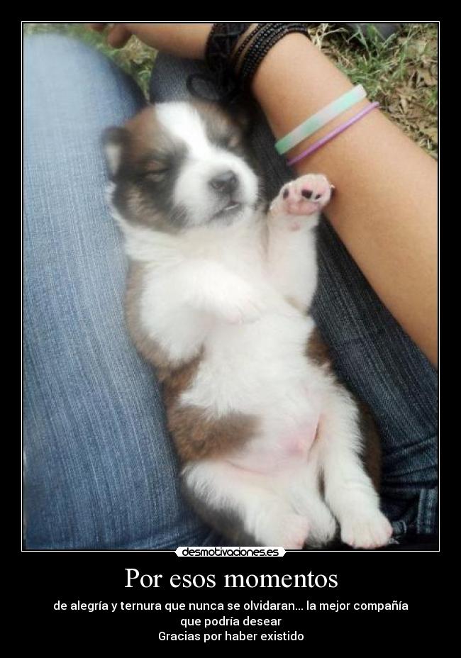 Por esos momentos - de alegría y ternura que nunca se olvidaran... la mejor compañía que podría desear
Gracias por haber existido