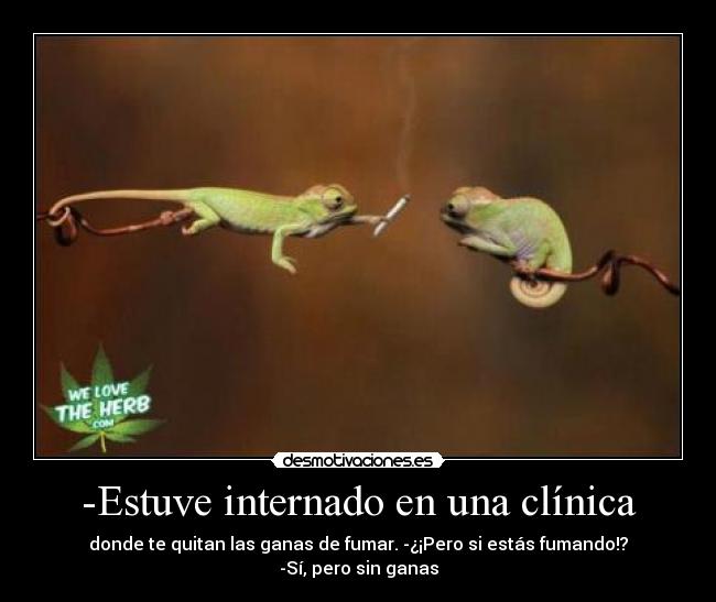 -Estuve internado en una clínica - donde te quitan las ganas de fumar. -¿¡Pero si estás fumando!? -Sí, pero sin ganas